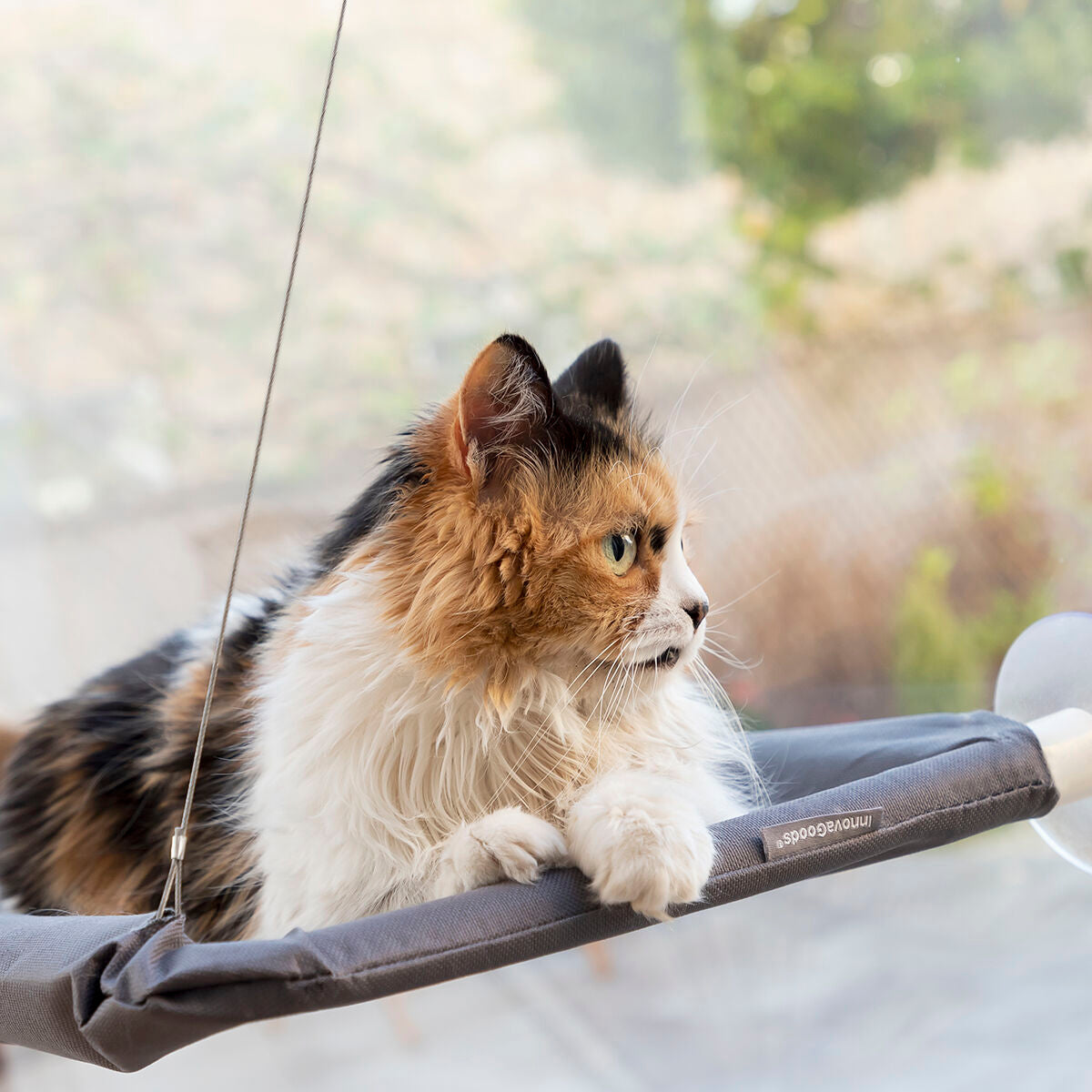 Cama Suspensa para Gatos